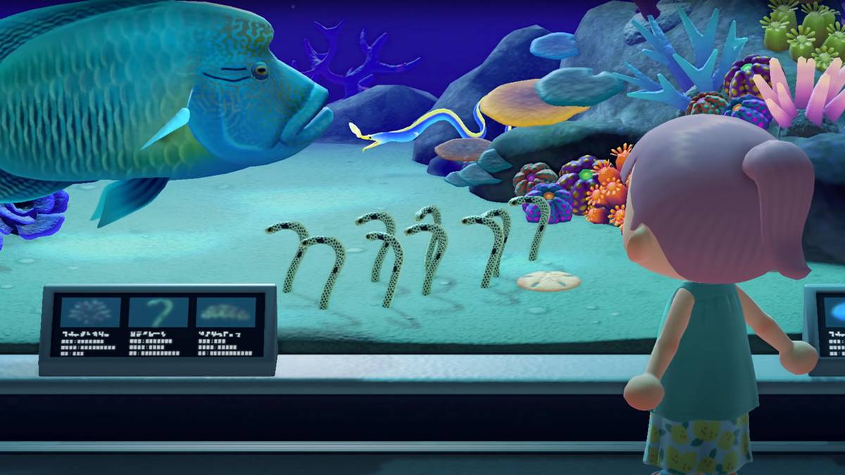 Animal Crossing New Horizons sea creatures