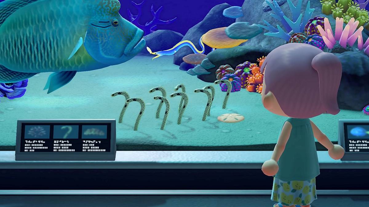 animal crossing new horizons sea creatures list