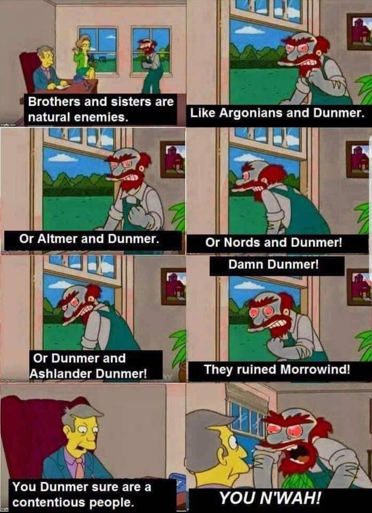 dunmer-saying-the-nword