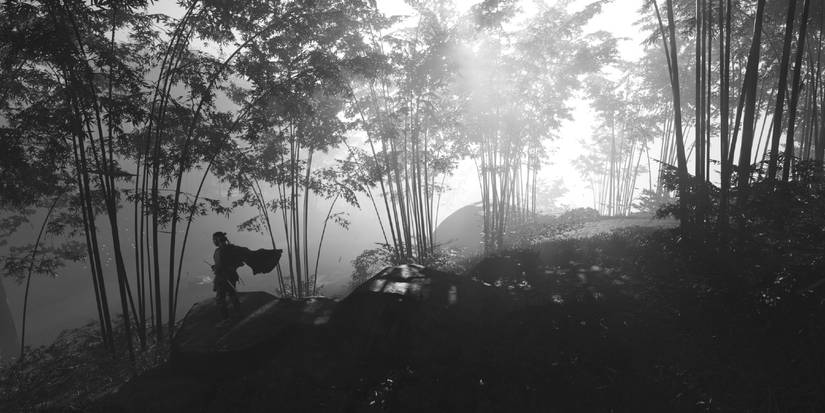 ghost of tsushima jin sakai bamboo forest