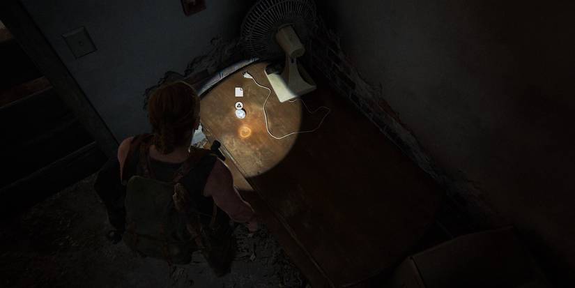 last of us 2 strange relic chinatown