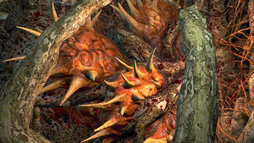 A Closeup Of The Tree Heart