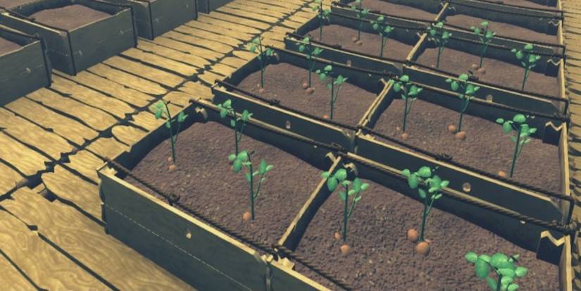Crop Farm Raft Raft: Important Items To Craft Right Away