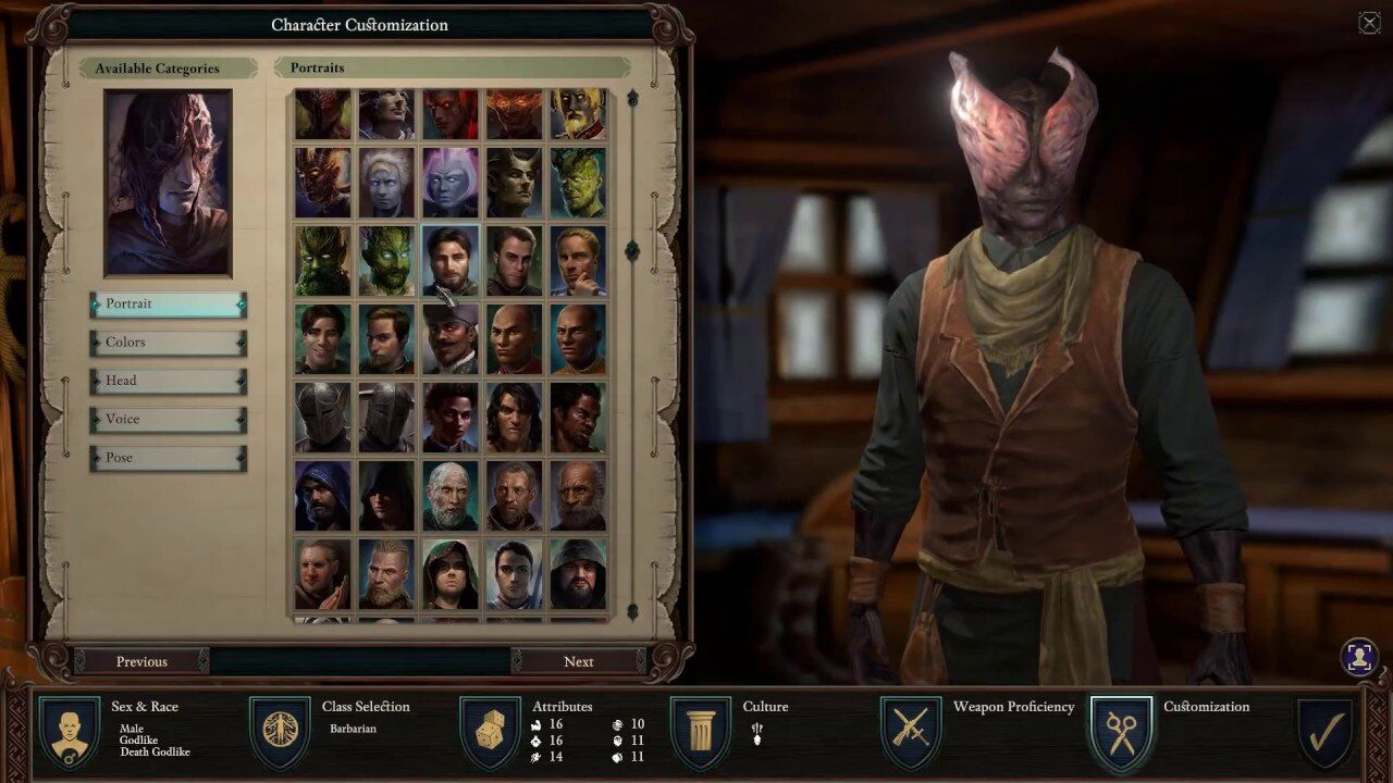 pillars of eternity which class should i play