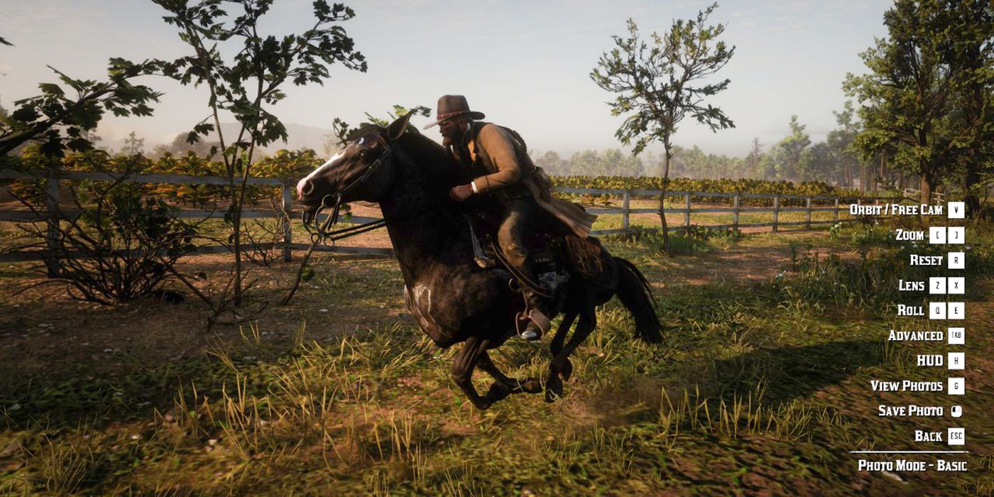 Red Dead Redemption 2 Player Captures Incredible Lasso Image in Photo Mode