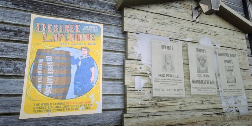 red dead 2 mysteries desiree