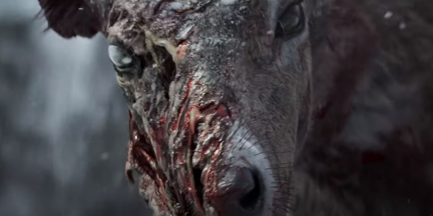 Here's some interesting concept art of the Deer devouring the wolf from  state of decay 3 teaser trailer. : r/StateOfDecay