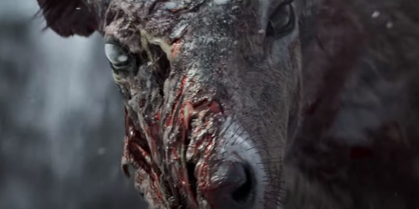 Here's some interesting concept art of the Deer devouring the wolf from state  of decay 3 teaser trailer. : r/StateOfDecay