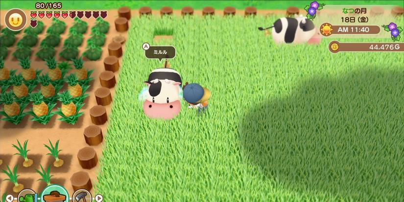 story-of-seasons-friends-of-mineral-town-1