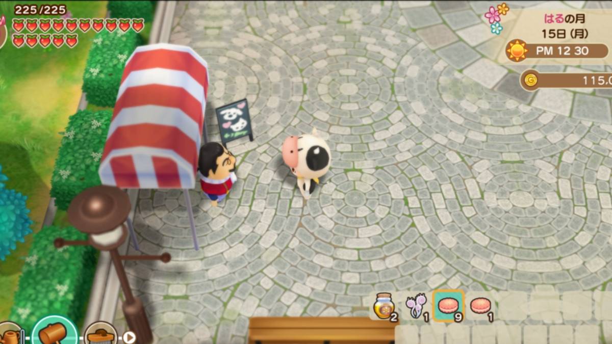 Story of Seasons Friends of Mineral Town