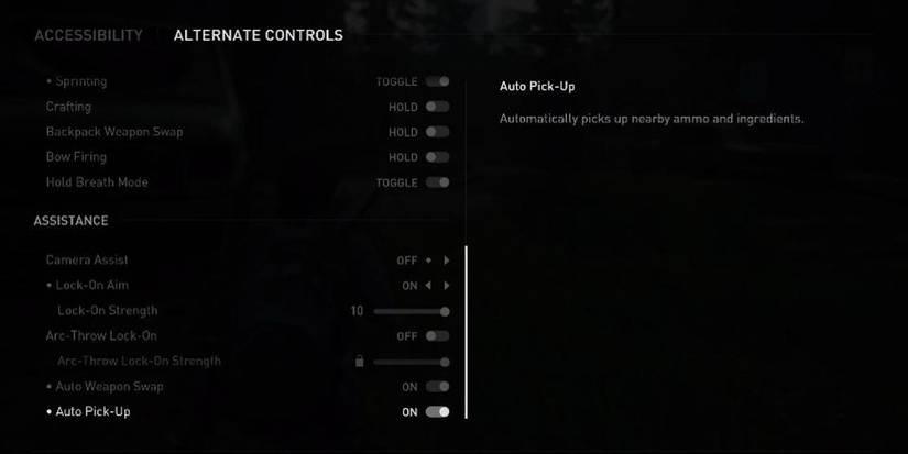 The Last of Us 2 Auto Pick-up