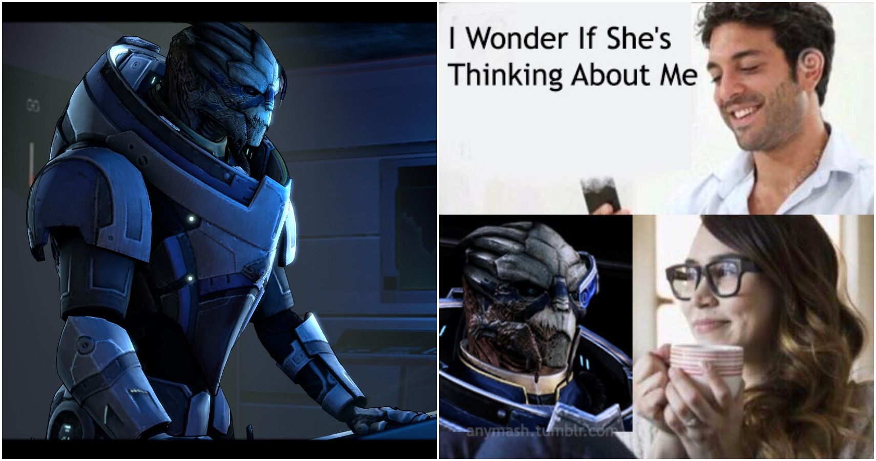 garrus' rp memes — Where the Water Tastes Like Wine is a