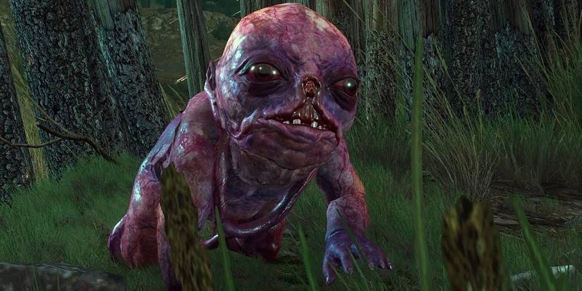 Botchling from Witcher 3.