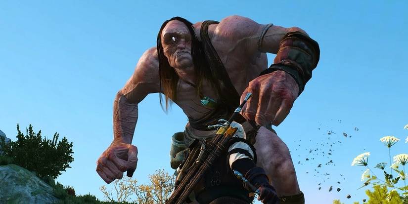witcher cyclops