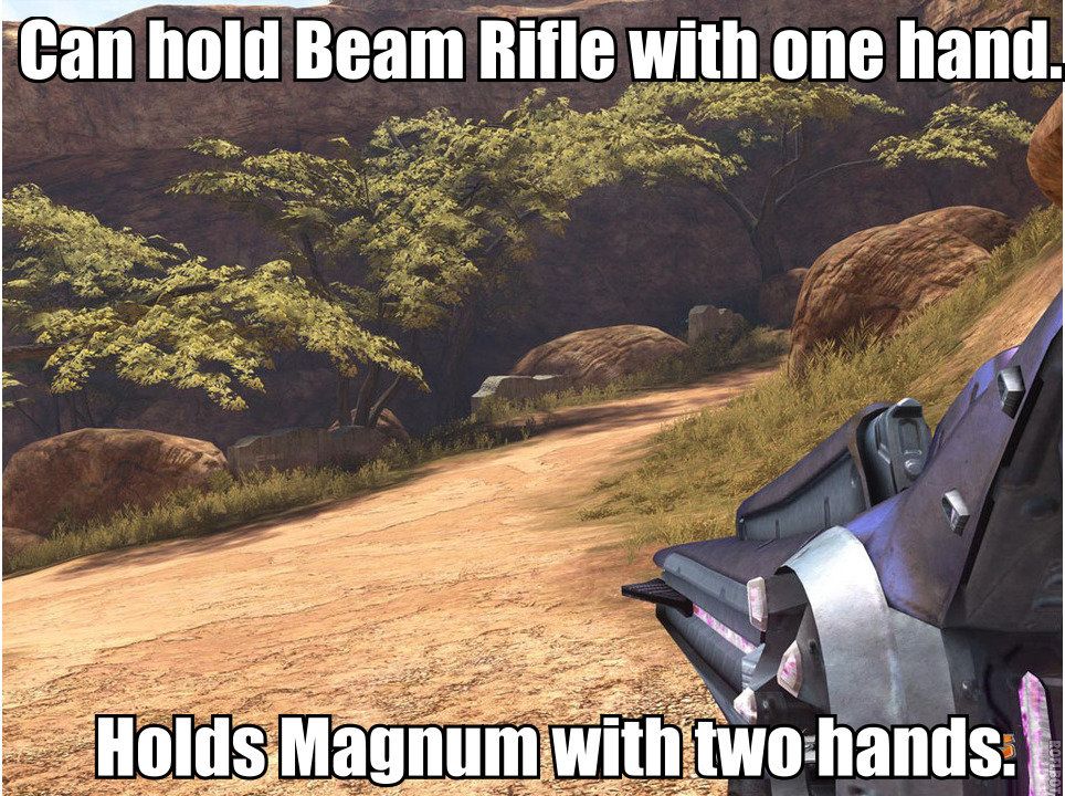 Halo two handed weapons meme