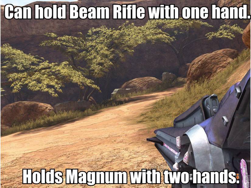 Halo two handed weapons meme