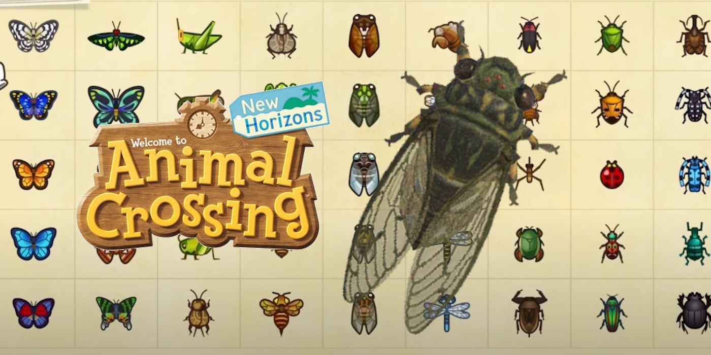 How to Get a Walker Cicada In Animal Crossing
