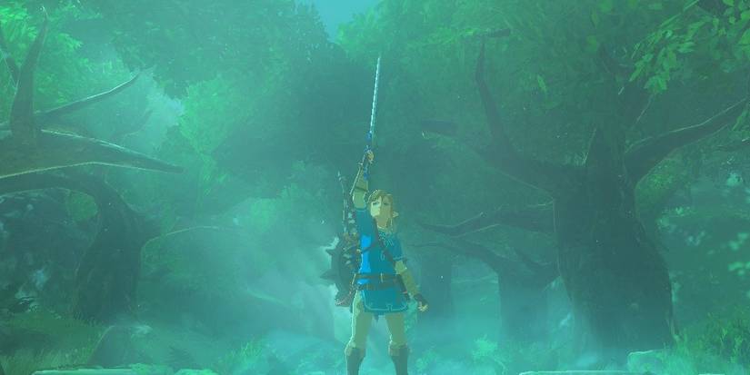 Botw sword link Cropped
