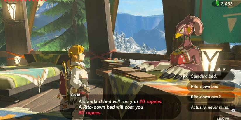 Breath of the Wild Rito Inn
