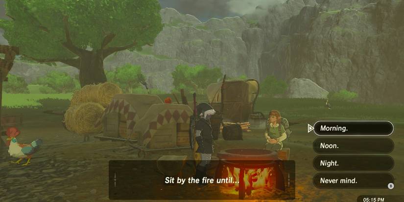 Breath of the Wild cooking pot