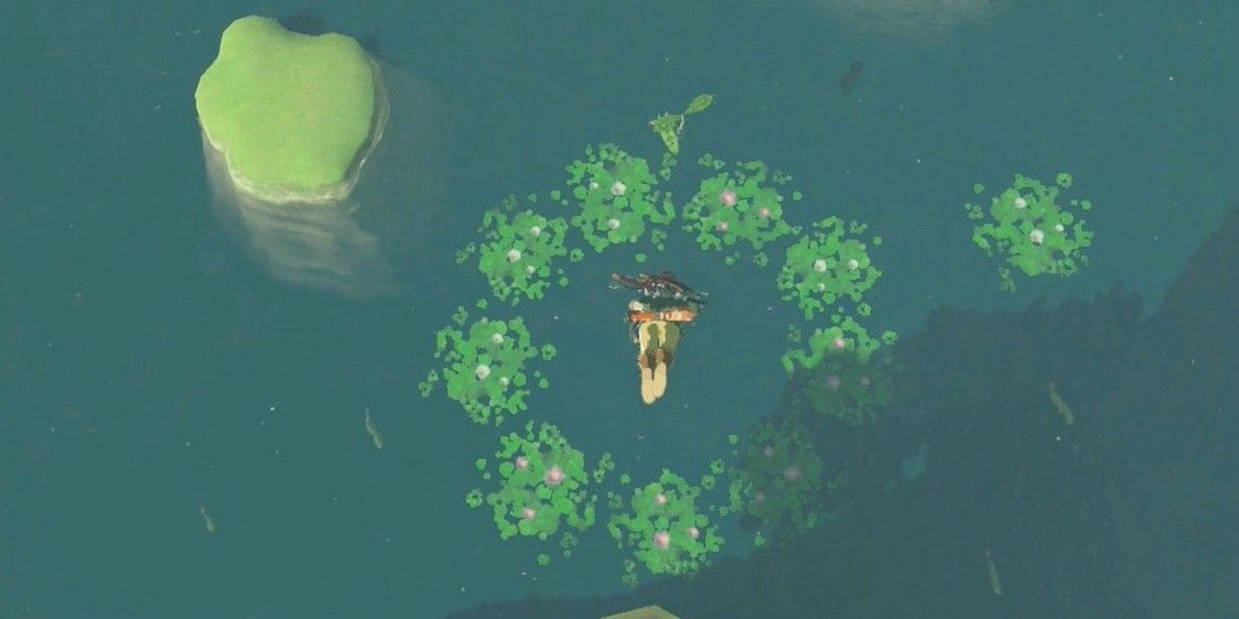 Diving into water in Breath of the Wild