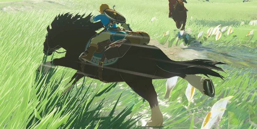 Breath of the Wild horse race