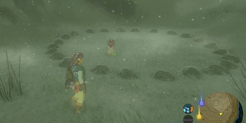 Breath of the wild rock puzzle circle