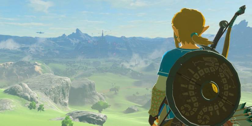 Breath of the wild view hyrule