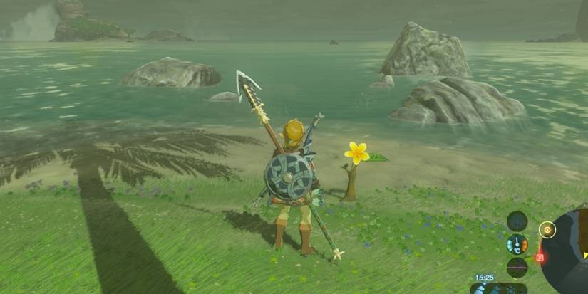 Breath of the wild yellow flower