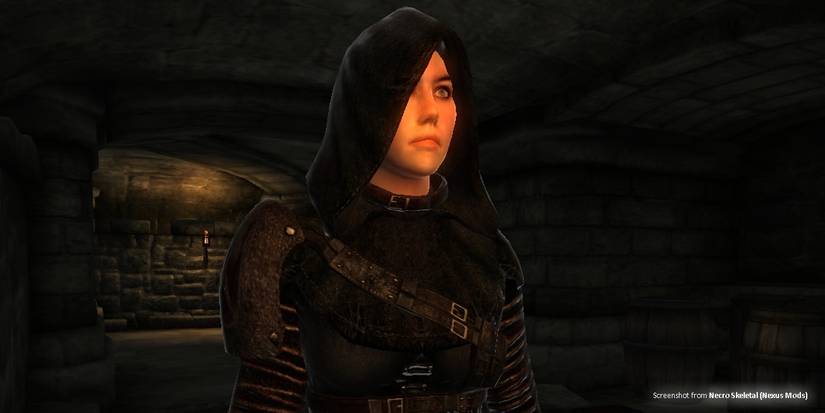 Elder Scrolls Iconic Armor - 5