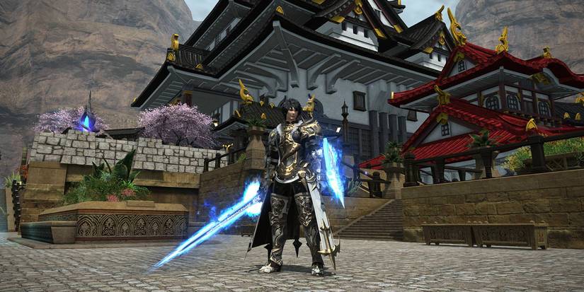 FF14 Paladin