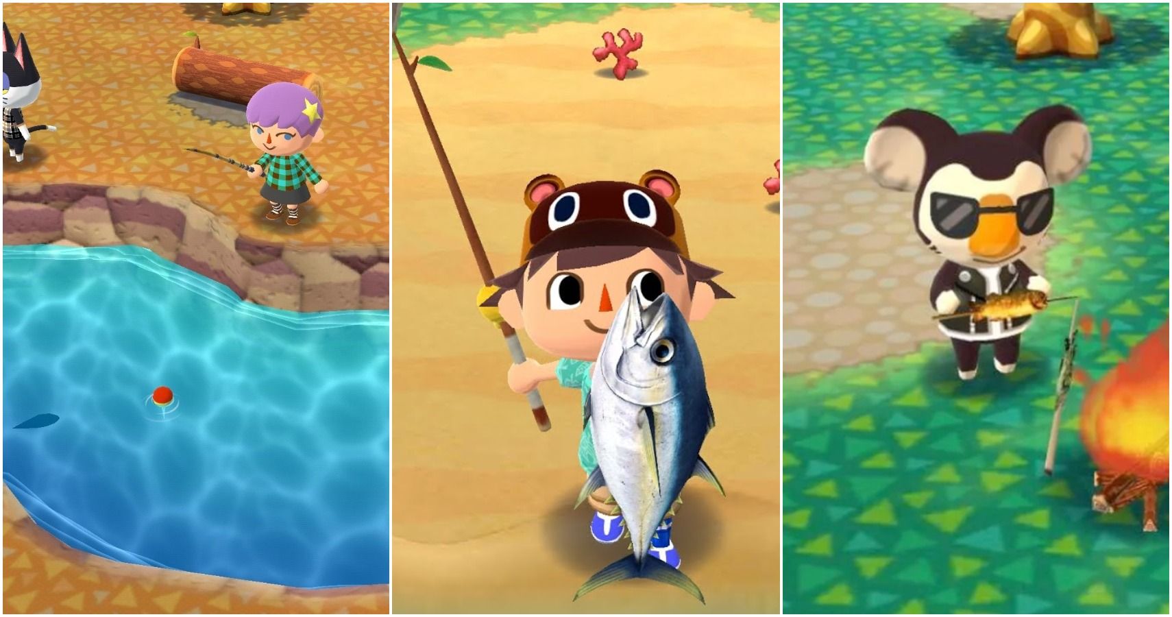 Animal Crossing Pocket Camp: Everything You Need To Know About Fish