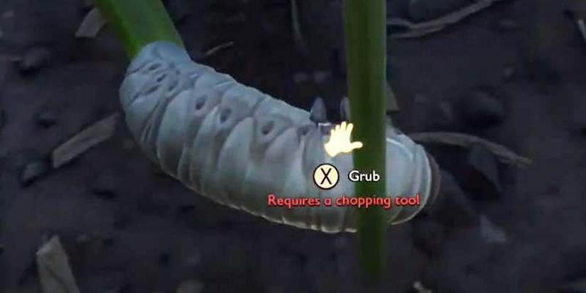 Grubs hide in Grounded and must be dug for