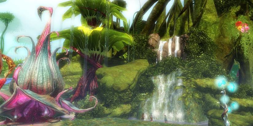 Guild Wars 2 Caledon Forest