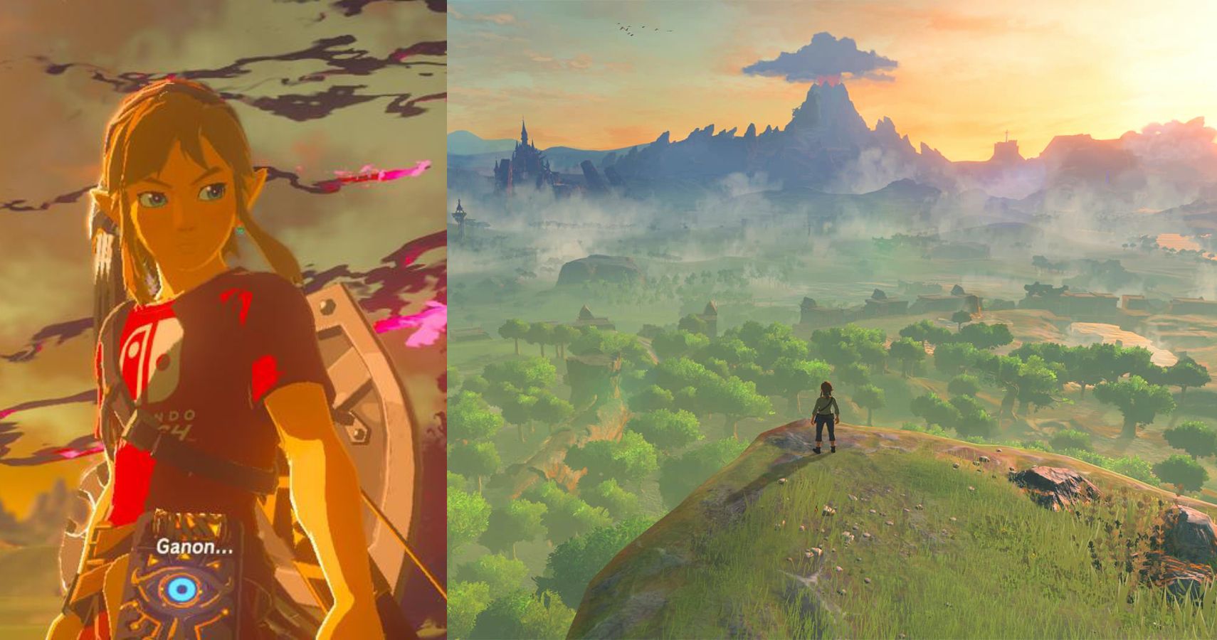 Things You Never Noticed In Breath of The Wild's Great Plateau