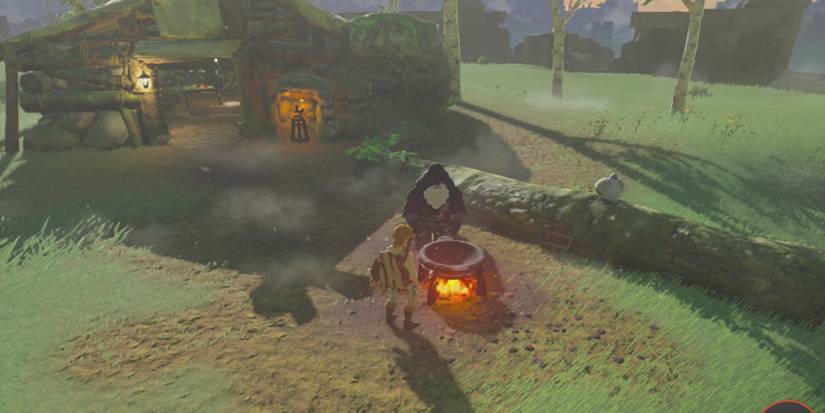 Legend of Zelda Breath of the Wild Great Plateau Old Mans House