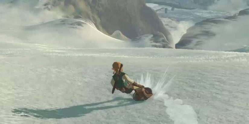 Link Shield Surf