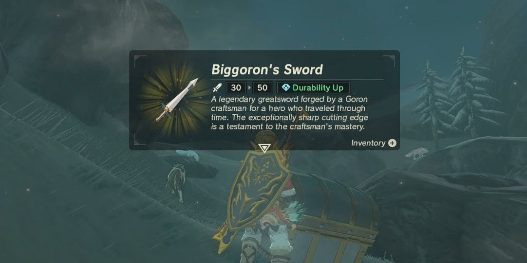 Link and Biggorons Sword