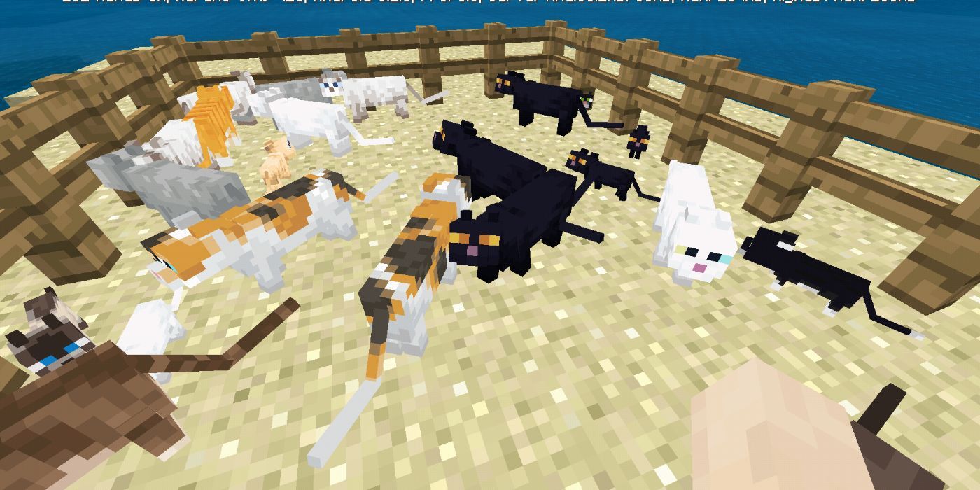 Minecraft Cats