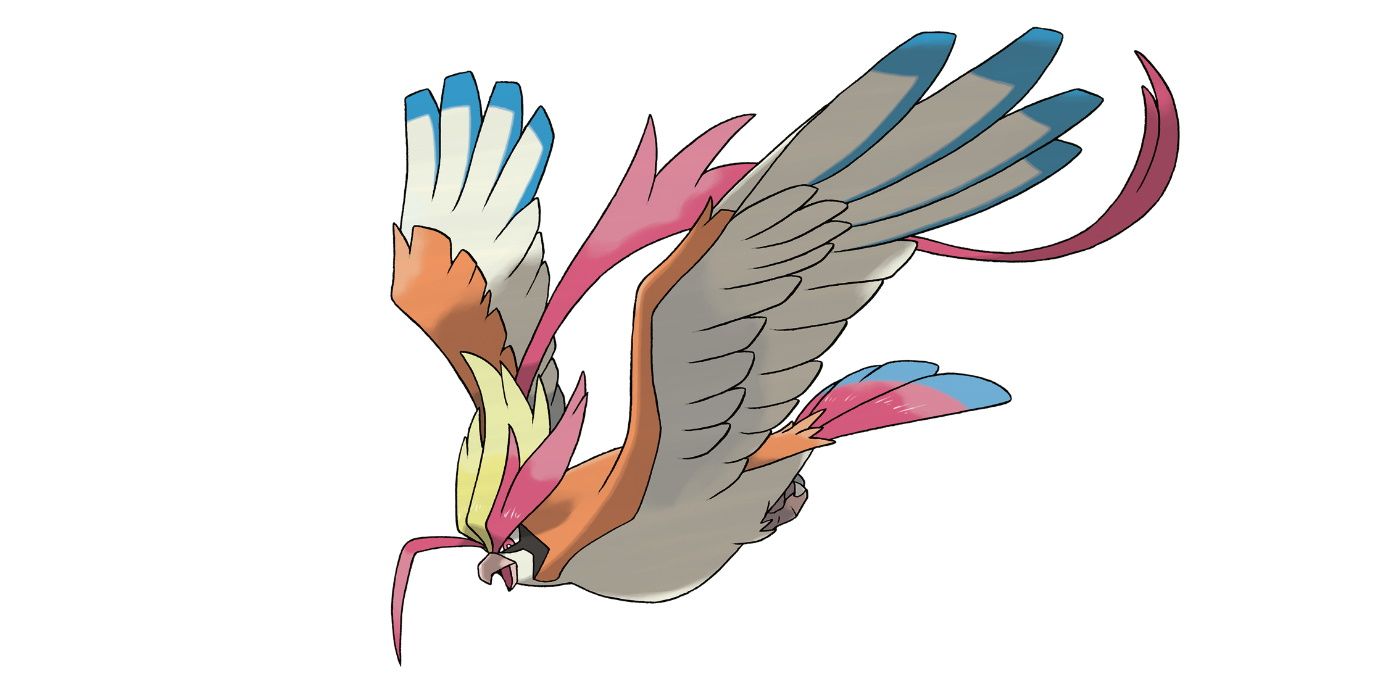 Mega Pidgeot