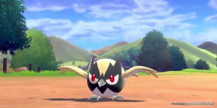 Rookidee Shiny Rate Rookidee Shiny Rate