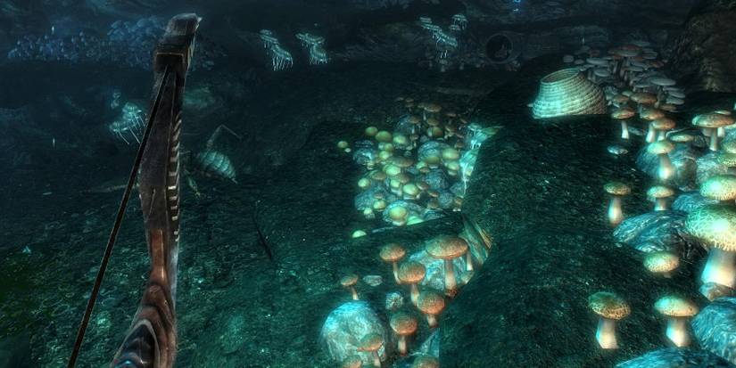 Skyrim Chillwind Depths