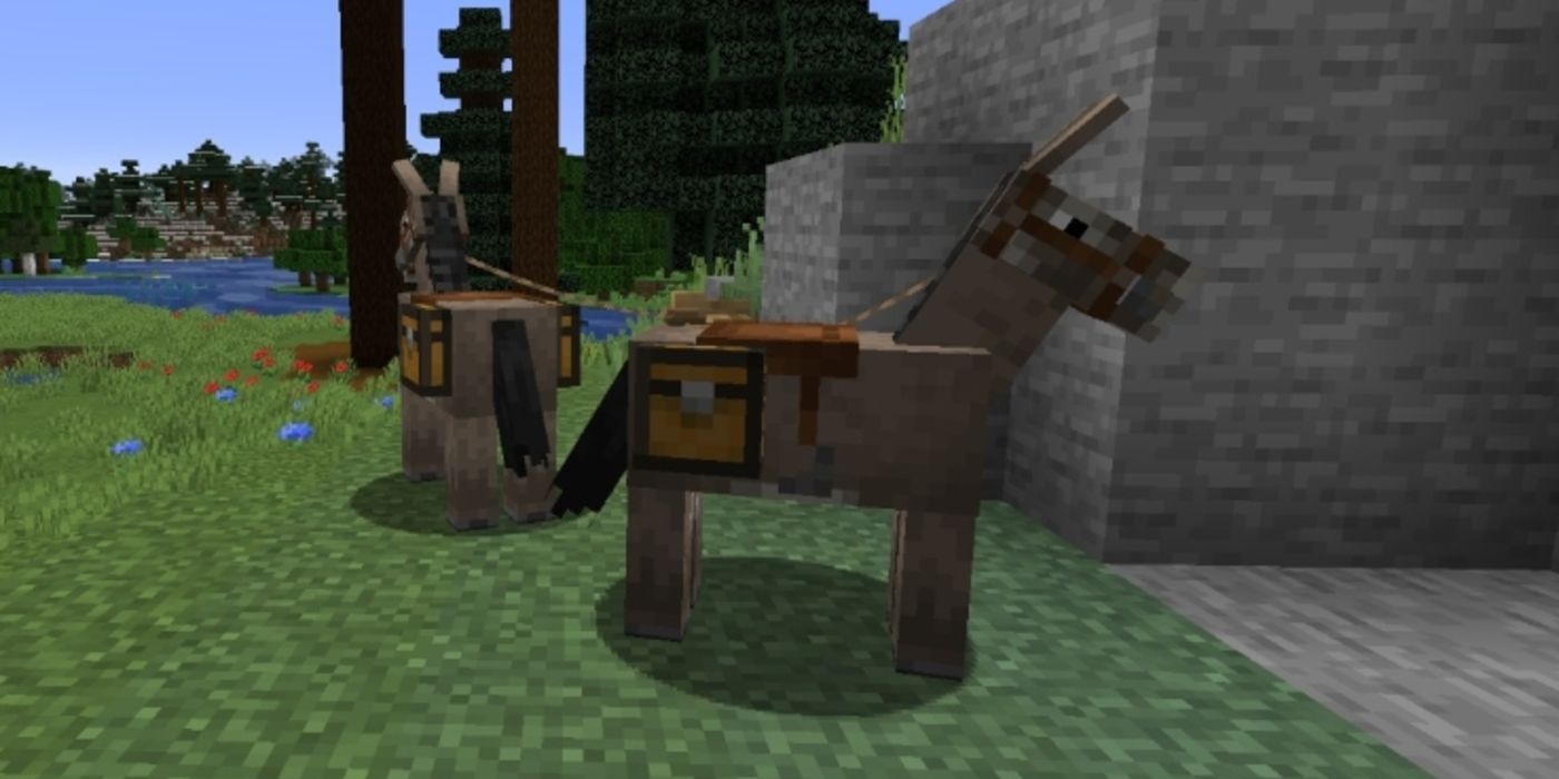 Skyrim Donkey