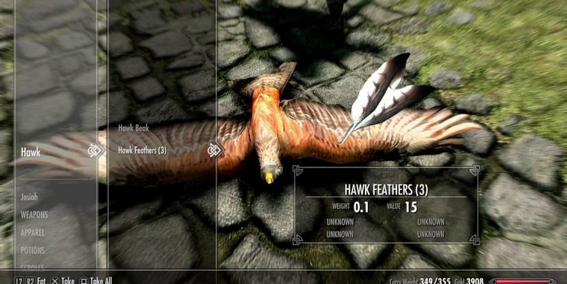 Skyrim Hawk