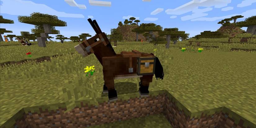 Minecraft Mule