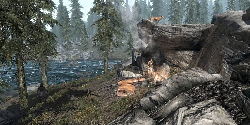 Skyrim Riverside Bandit Camo