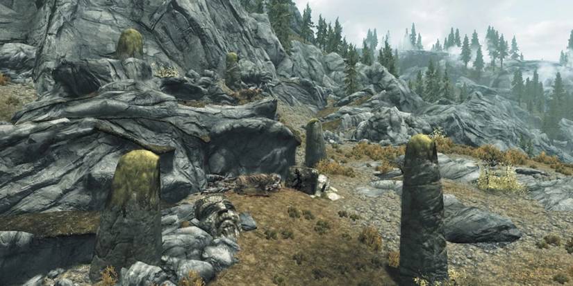 Skyrim Sabre Cat Rock