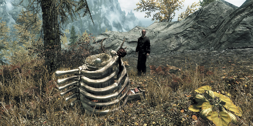 Skyrim the poultry reanimator encounter in The Rift.