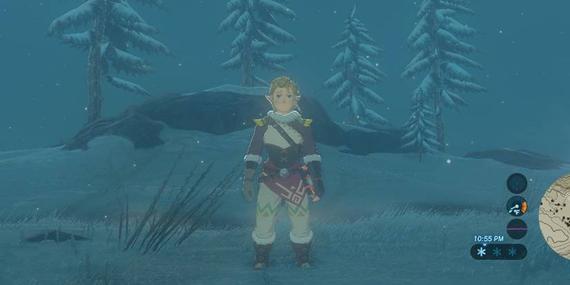 Snowquill Armor botw