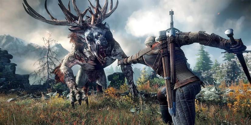 The Witcher 3 Wild Hunt